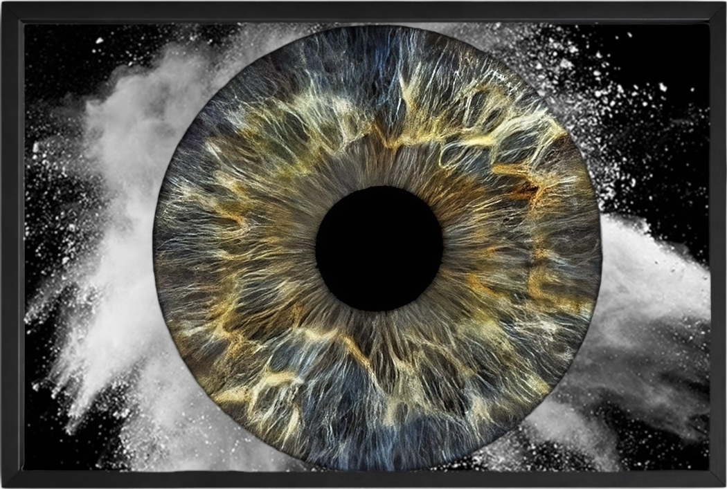 One eye iris artwork