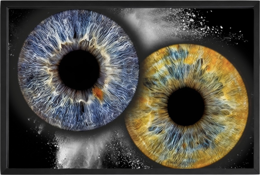 Two eye iris artwork