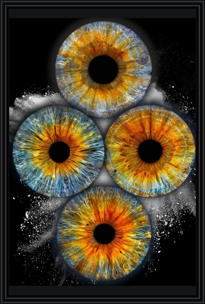 Four eye iris artwork