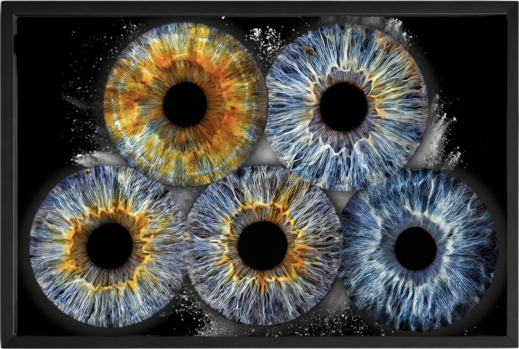 Five eye iris artwork