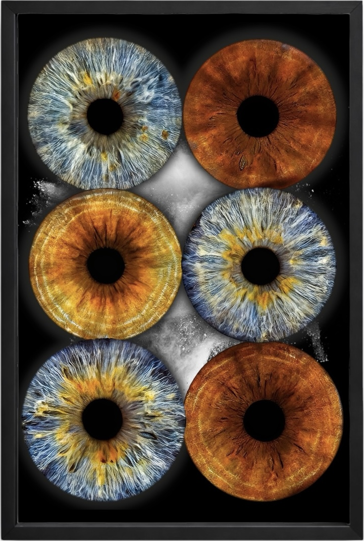 Six eye iris artwork