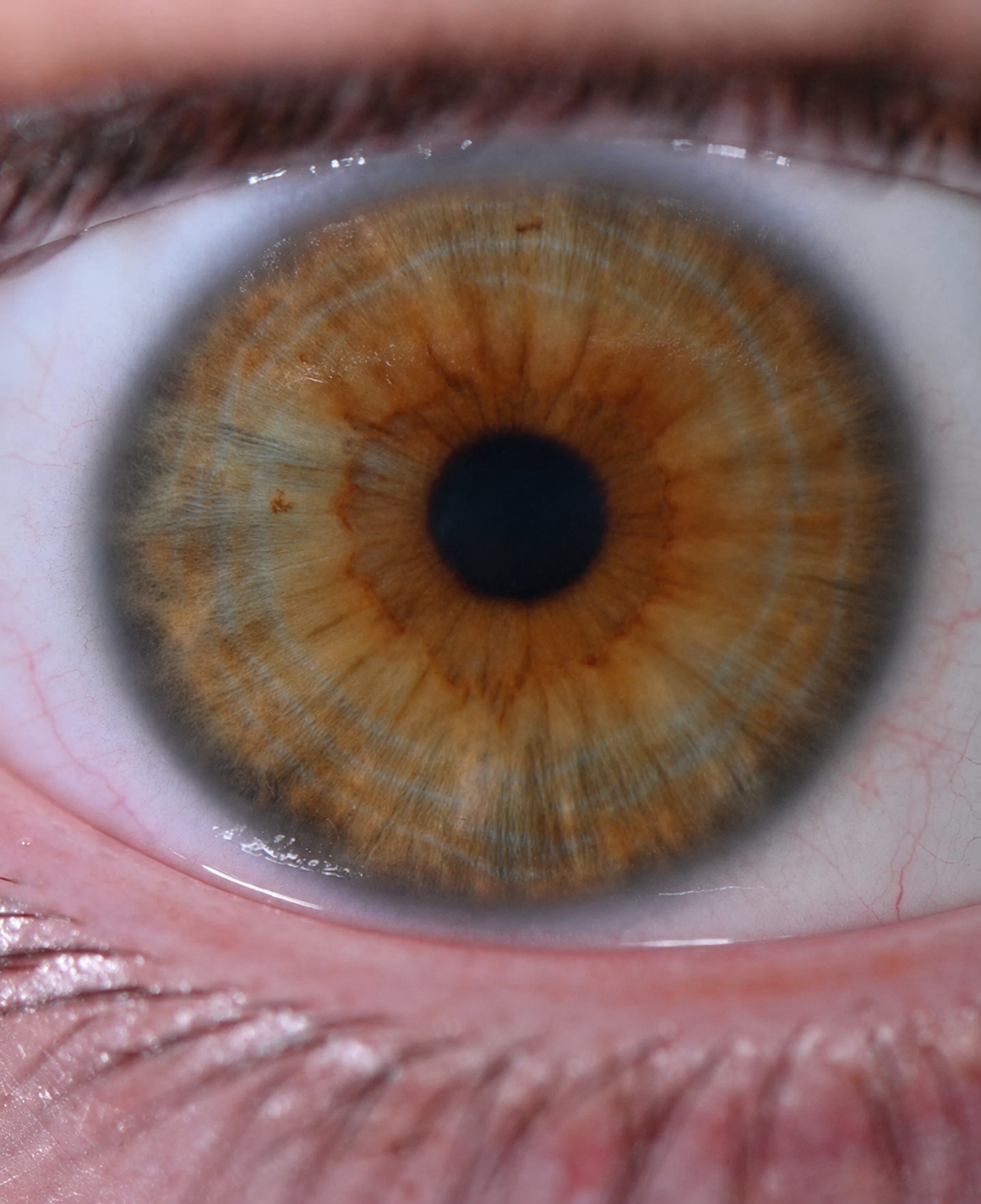 Real close-up amber iris photograph